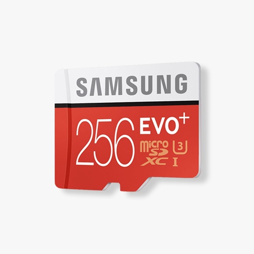 [SD 256 GB EVO PLUS] Carte memoire 256Gb samsung Evo+